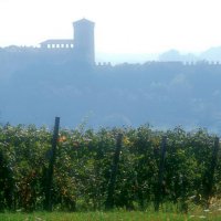 Cascina Piano Estate